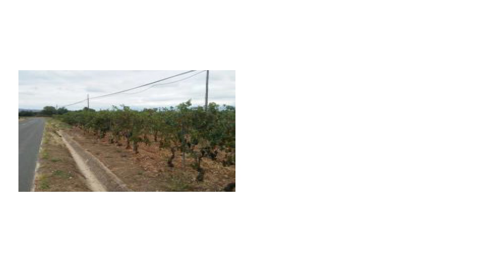Finca rústica en MANJARRES imagen 1
