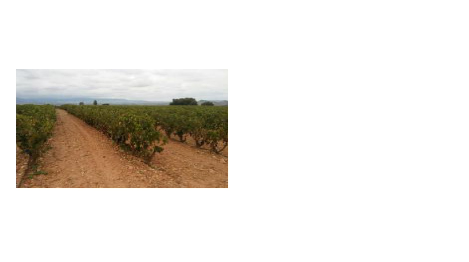 Finca rústica en MANJARRES imagen 1