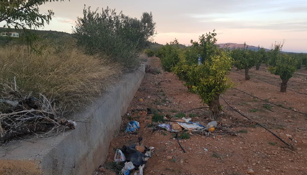 Finca rústica en CABANES imagen 1
