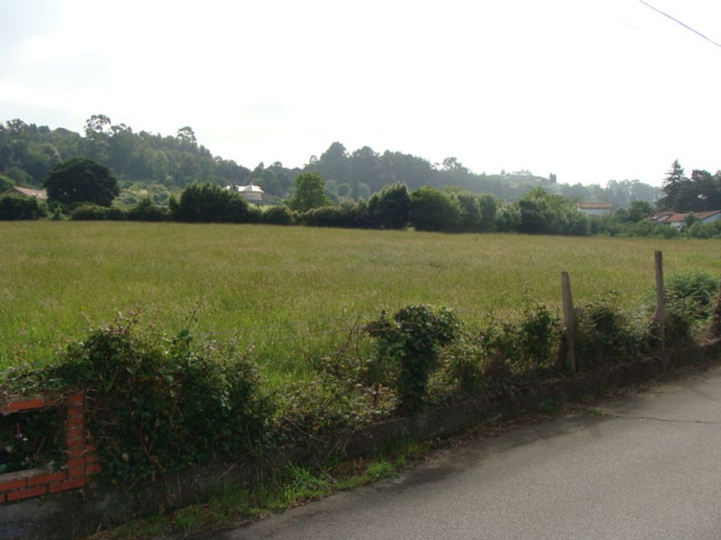 Otros en GIJON imagen 1