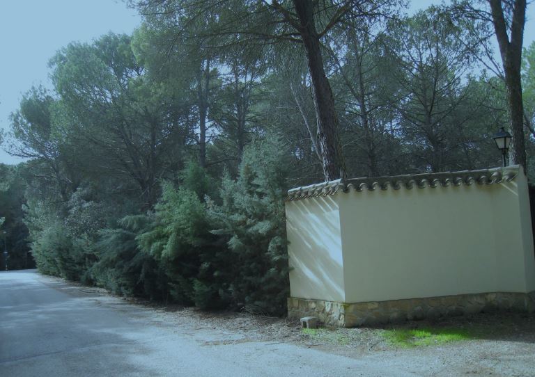 Vivienda en ALBACETE imagen 1