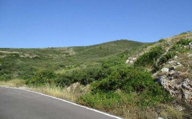 Finca rústica en SANTA MAGDALENA DE PULPIS imagen 1