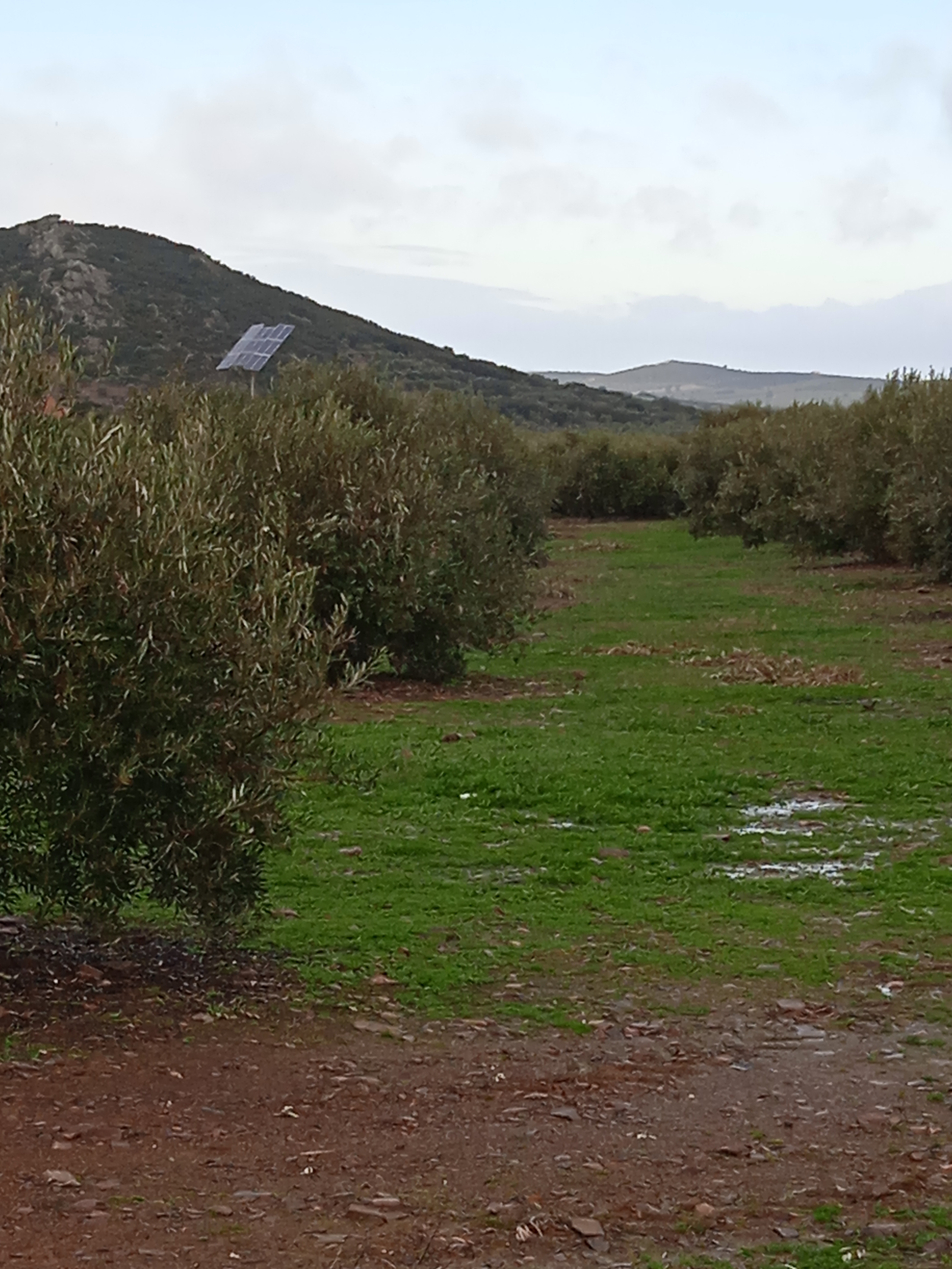 Finca rústica en CASTELLAR DE SANTIAGO imagen 1