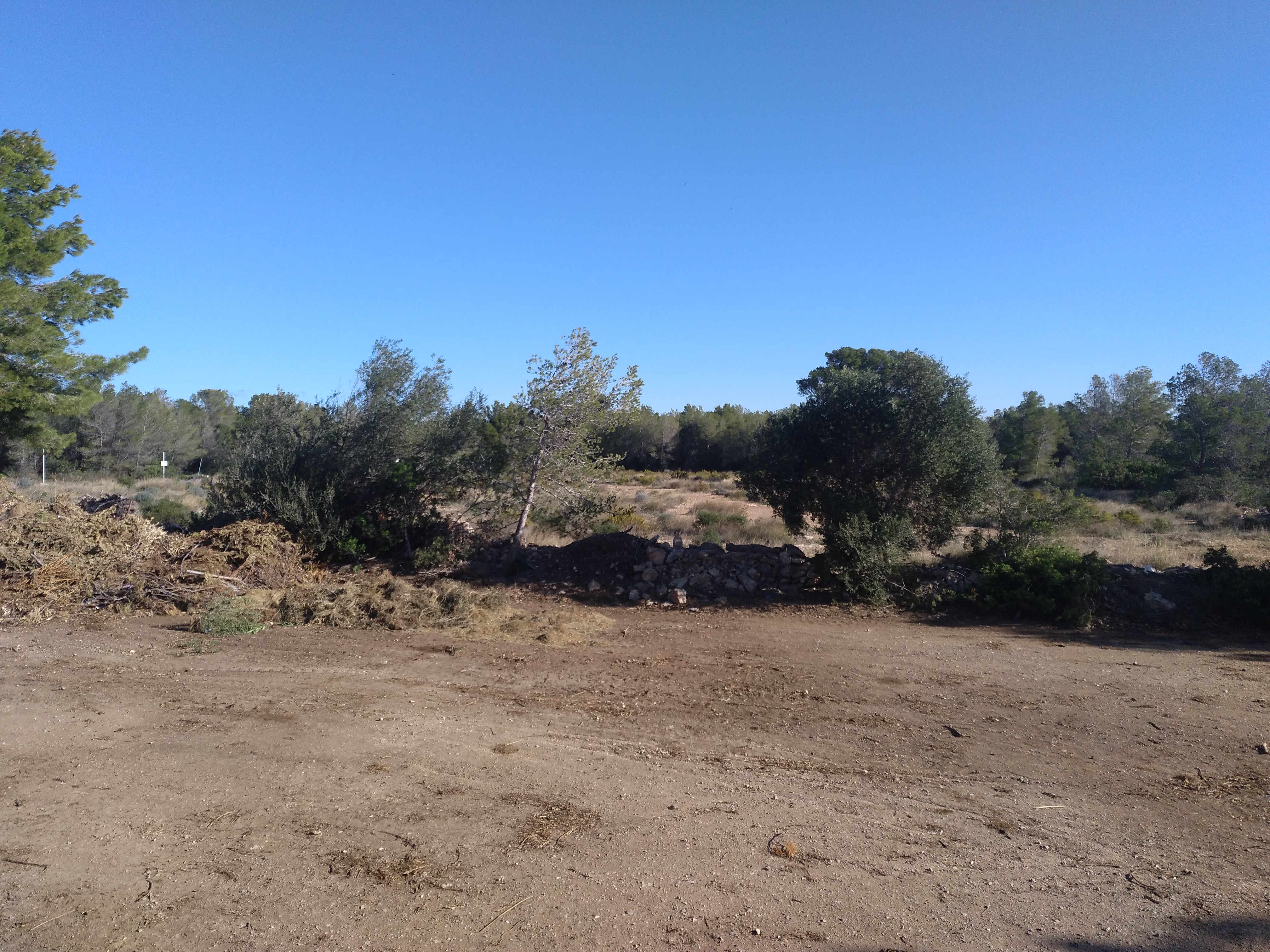 Solar en MONT-ROIG DEL CAMP imagen 1