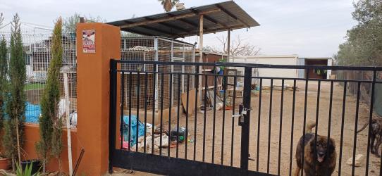 Finca rústica en CHESTE