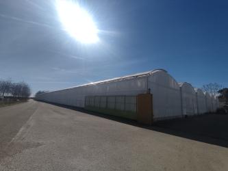 Finca rústica en L'ALCUDIA