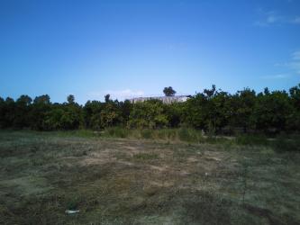 Finca rústica en L'ALCUDIA