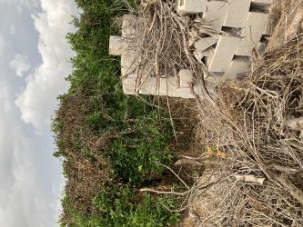 Finca rústica en PEDREGUER