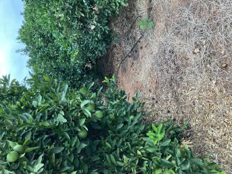 Finca rústica en PEDREGUER