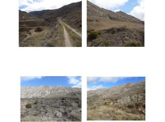 Finca rústica en RIBAFRECHA