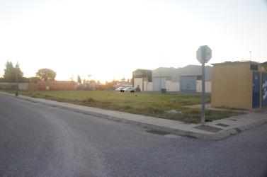 Otros en VILLANUEVA DEL ARISCAL