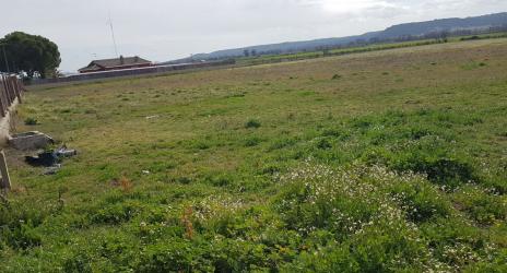 Finca rústica en TALAVERA DE LA REINA