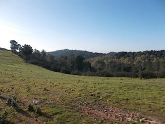 Finca rústica en ADAMUZ