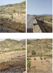 Finca rústica en ALOZAINA