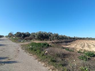 Finca rústica en CHAUCHINA