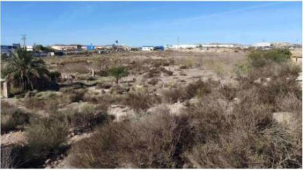 Solar en ALCANTARILLA