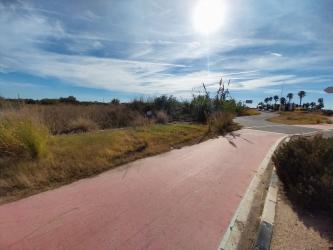 Finca rústica en SAGUNT-SAGUNTO