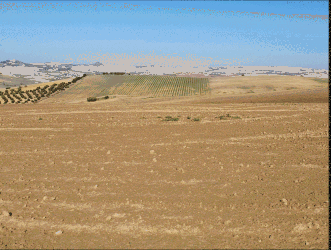 Finca rústica en ESPERA