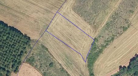 Finca rústica en BAÑOS DE RIO TOBIA