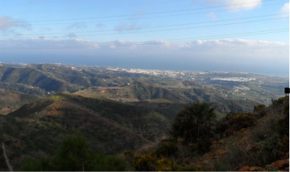 Finca rústica en ESTEPONA