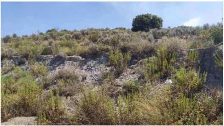 Finca rústica en LORCA