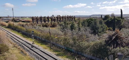 Otros en TALAVERA DE LA REINA