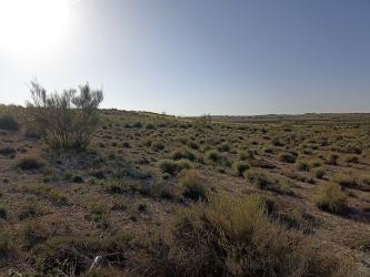 Finca rústica en BAZA