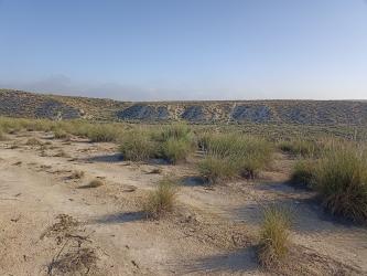 Finca rústica en BAZA