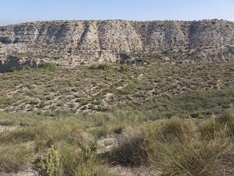 Finca rústica en BAZA