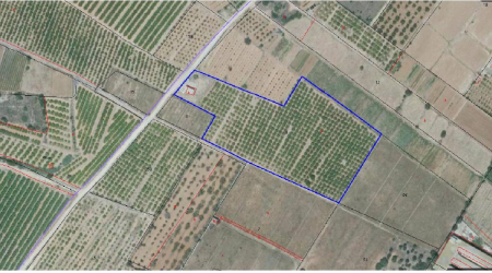 Finca rústica en CABANES