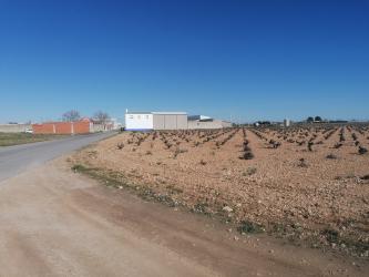 Solar en PEDRO MUÑOZ