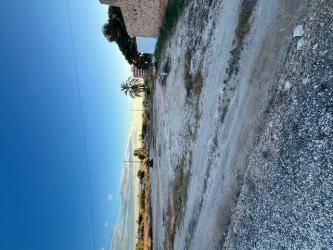 Solar en ELX/ELCHE