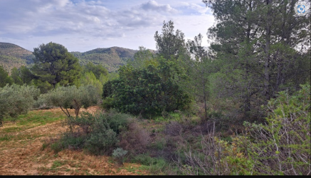 Finca rústica en L'ALCORA