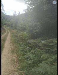 Finca rústica en SOMOZAS (AS)