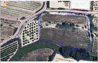 Finca rústica en LA POBLA DEL DUC