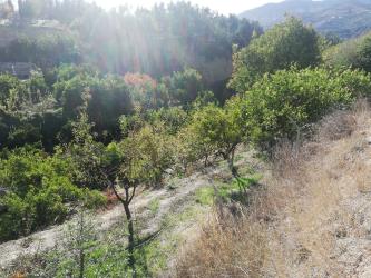 Finca rústica en LECRIN