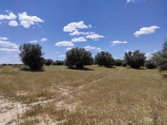 Finca rústica en CIEMPOZUELOS