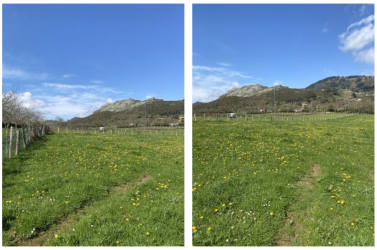 Finca rústica en SARIEGO