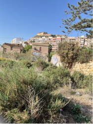Otros en ALACANT-ALICANTE
