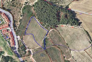 Finca rústica en SANT ESTEVE SESROVIRES
