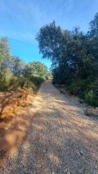 Finca rústica en CABANES