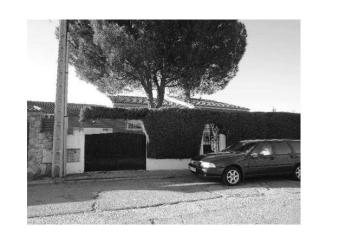 Vivienda en ALAMO (EL)