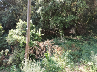 Solar en CASTELLAR DEL VALLES