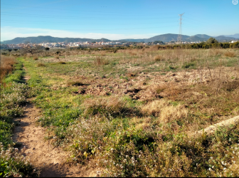 Finca rústica en RIBA-ROJA DE TURIA