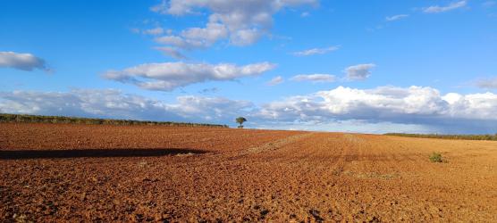Finca rústica en CABEZAMESADA