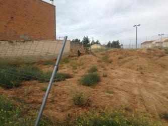 Solar en ARCAS