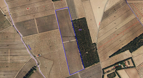 Finca rústica en ARGAMASILLA DE ALBA
