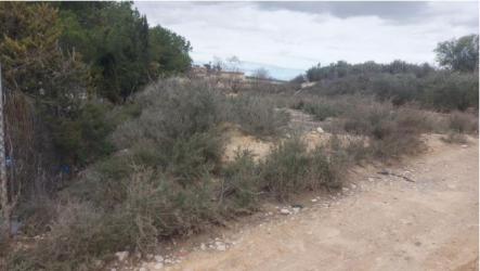 Finca rústica en TORRES DE COTILLAS (LAS)