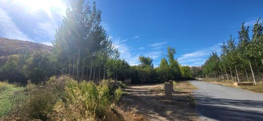 Finca rústica en CORTES Y GRAENA