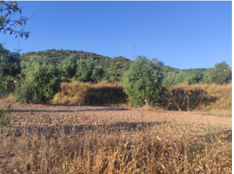 Finca rústica en LES BORGES BLANQUES